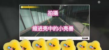 拍摄缩进壳中的小壳兽，40万调度监测攻略