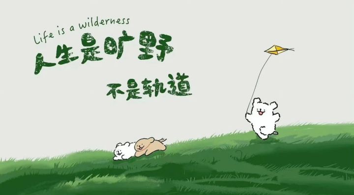 这才是合道主角该有的样子嘛截图