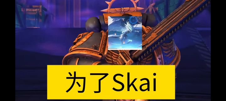 为了Skai截图