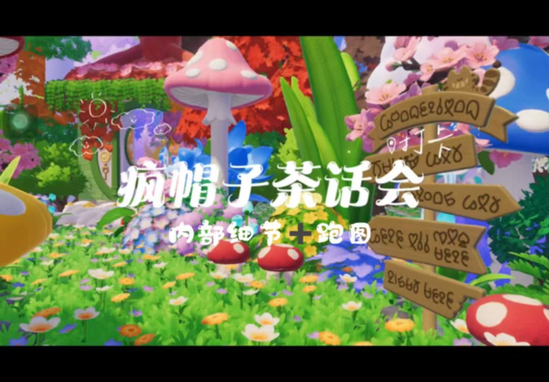 video-5678253