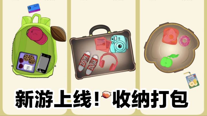 新游上线‼️收纳打包小游戏,手机可玩,你能成功通关吗?截图