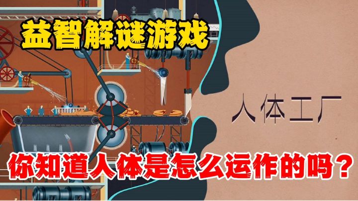 人体工厂:益智解谜小游戏,快来了解你的人体机制吧截图
