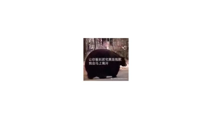 无伤收藏家 芜湖截图