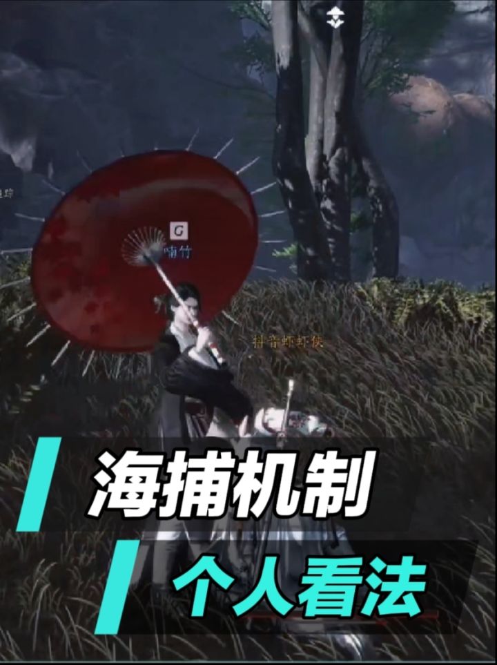 关于我对海捕机制的看法截图