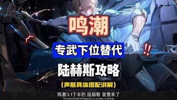 陆赫斯专武下位替代及声骸搭配分析，鸣潮3.1攻略。