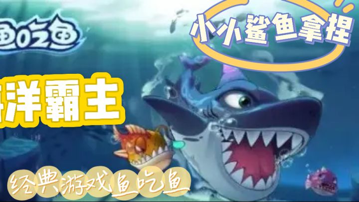 弱肉强食的海洋世界截图