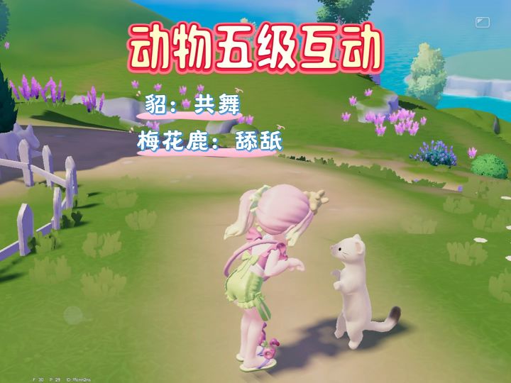 动物五级互动效果。貂和梅花鹿依旧是那么可爱截图