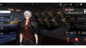 灼烧灼烧队心得。玩了几天。帅就完事了。你管他强不强呢。