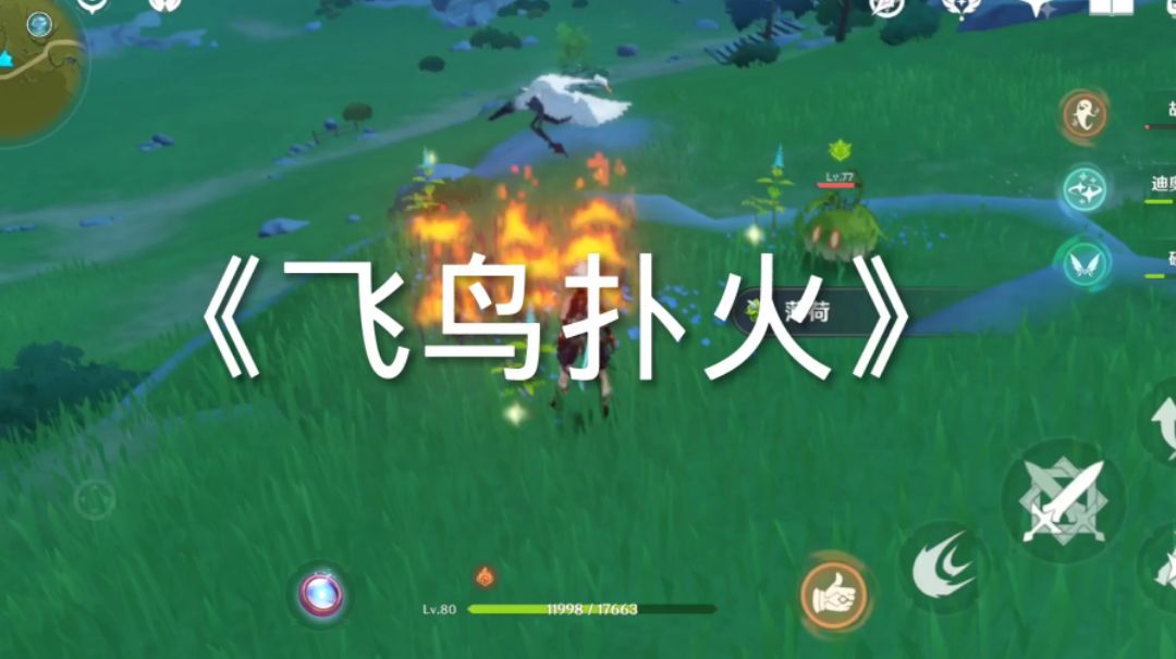 video-2414776