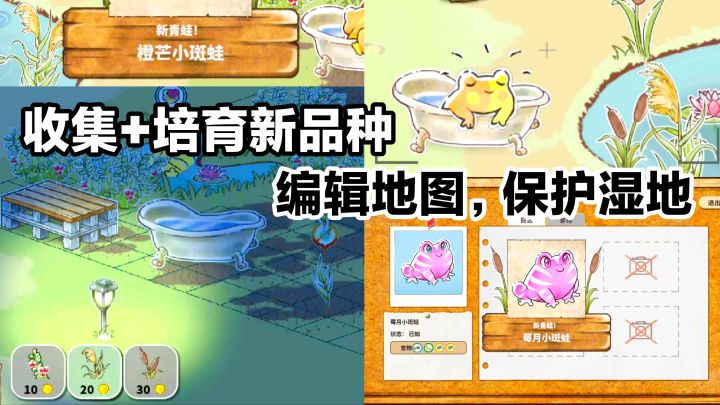 根本停不下来‼️非常上头➕收集➕培育稀有新品种青蛙➕重建湿地环境截图
