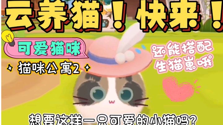 《猫咪公寓2》|谁能拒绝撸这么可爱的猫猫！截图