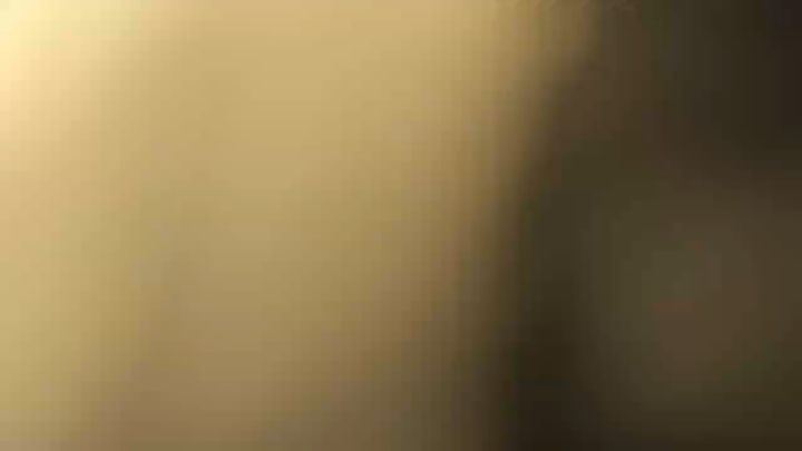 喜欢我玲珑的无敌帧吗截图