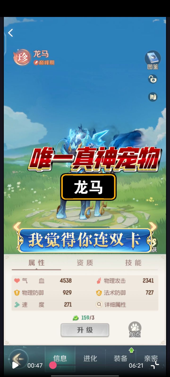 唯一真神宠物——龙马截图