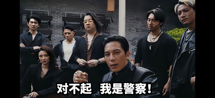 卧底半生,最后一句对不起我是警察!截图