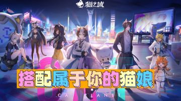猫拟人卡组玩法，搭配你的猫娘#猫之城#