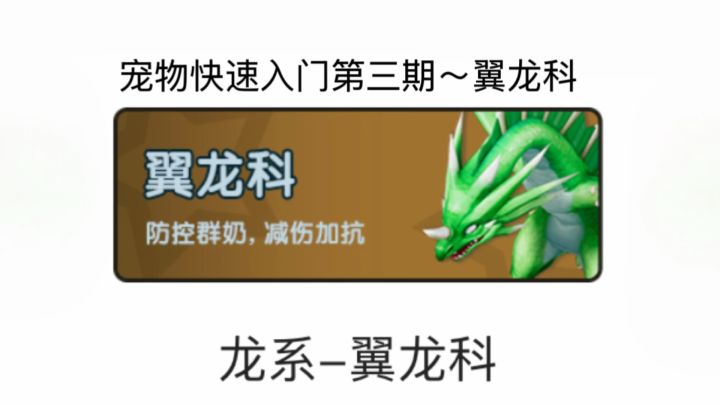 宠物快速入门第三期~翼龙科截图