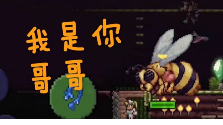 关于我因为没仔细看wiki而在地面挑战大师狂暴化蜂后这件事截图