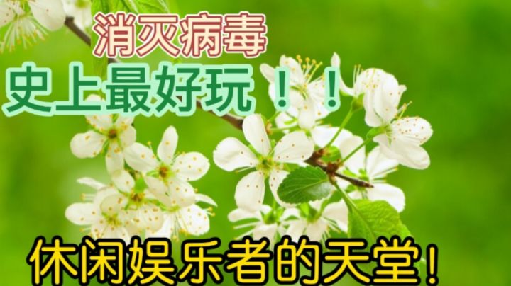 史上最好玩的《消灭病毒》这款游戏截图