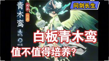 【问剑长生】白板青木鸾值不值得培养？灵兽攻略