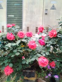 无尽200层！！！