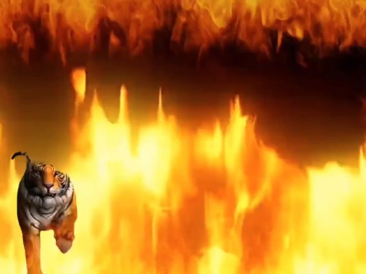 三🔥区🔥家🔥族🔥招🔥人截图