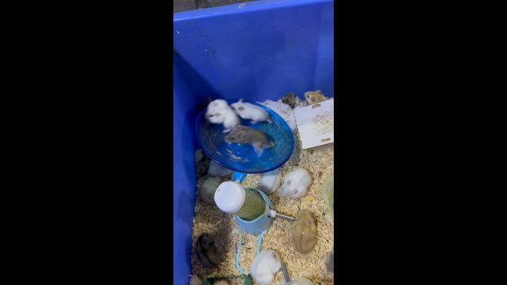 在哪看一个号氪了多少钱?截图
