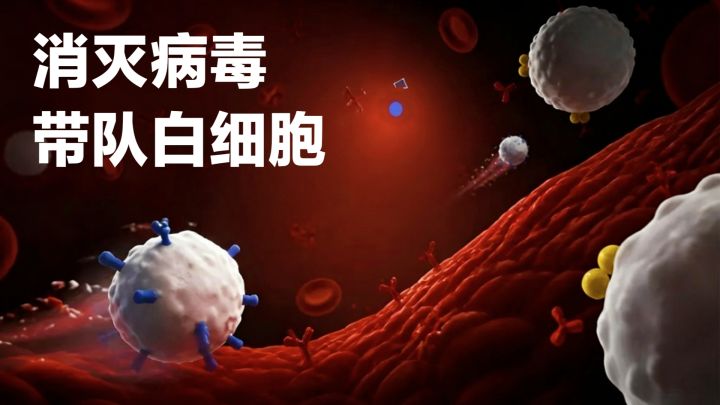 模拟细胞💥🦠击杀病毒‼️简单易上手➕策略➕轻度Roguelike新游戏:Hi截图
