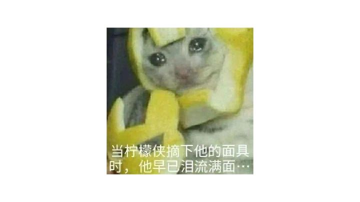聪明的墨菲特😂😂😂😂截图