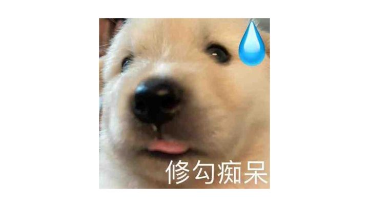 giao桑,故乡的樱花开了,确定不回去听一首《未闻花名》?截图