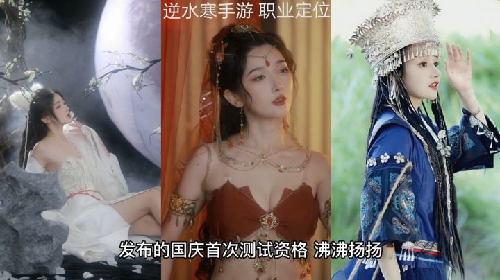 逆水寒手游五大职业定位截图