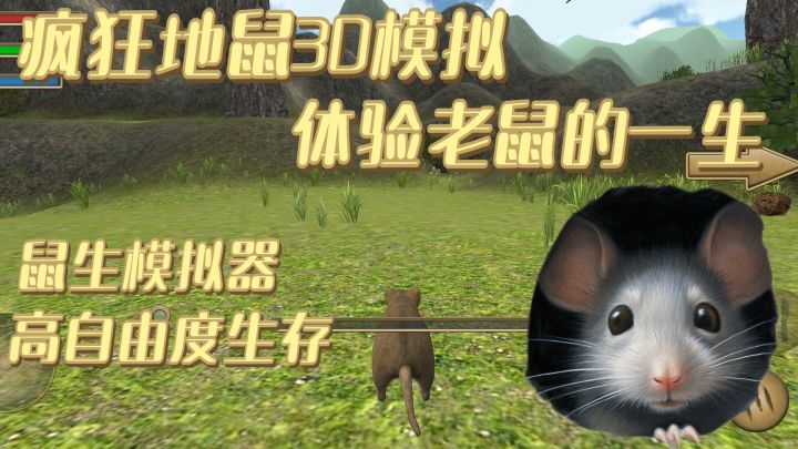 老鼠模拟器 模拟鼠生 高度自由生存 还能交配敷衍～截图