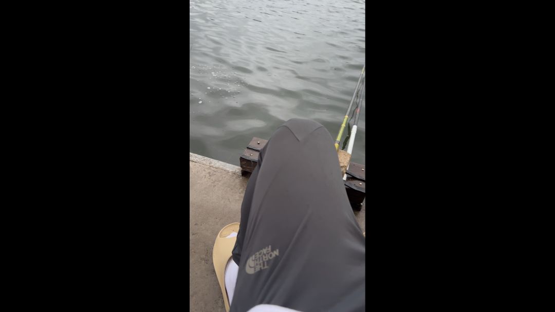 video-4050383