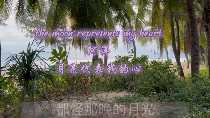 the moon represents my heart #阿洋 #月亮代表我的心截图