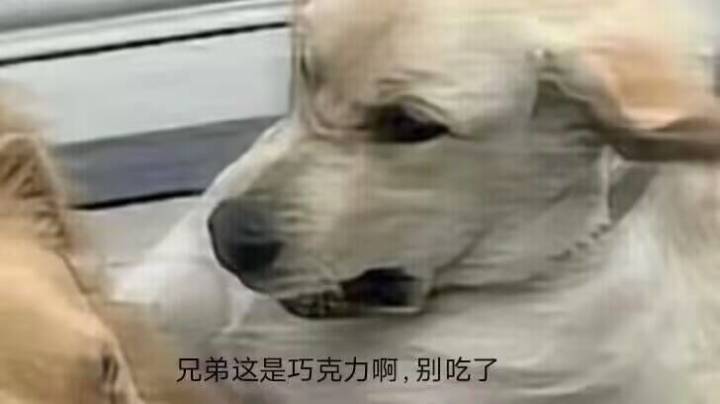 托尔:周年龙女会提血量上限?我的雷暴已经饥渴难耐了截图