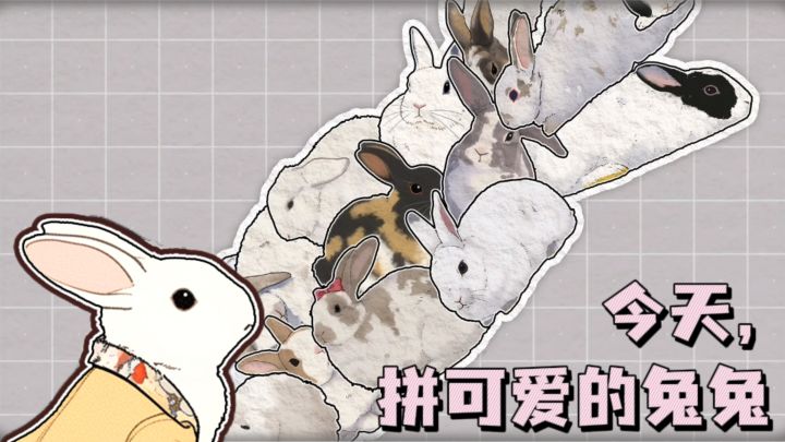 今天拼可爱的兔兔🐰，轻松治愈又解压～截图