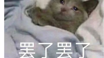 关于大哥一招秒的排行榜