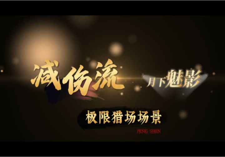 【减伤流实例】顽强的月下魅影截图
