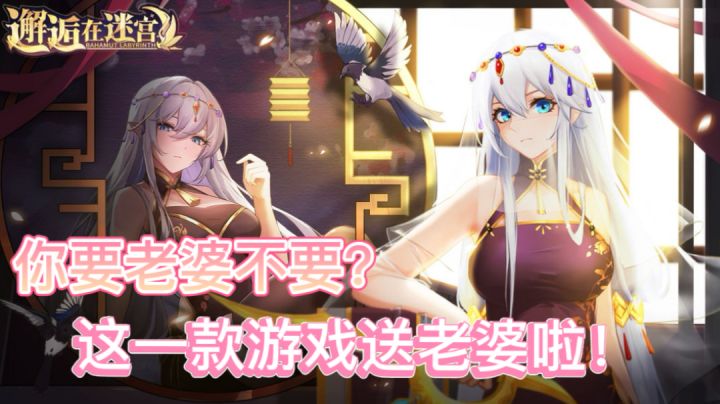 你要老婆不要?《邂逅在迷宫》送老婆啦!截图
