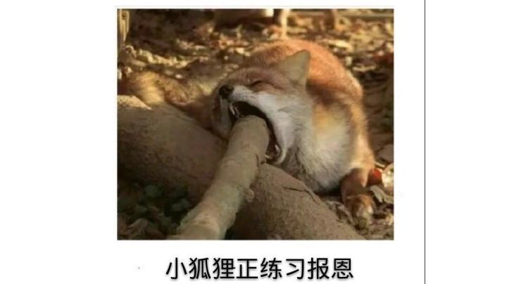 放最炫酷的音乐 吃最好的降压药(º﹃º )截图