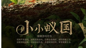 小小蚁国新手攻略