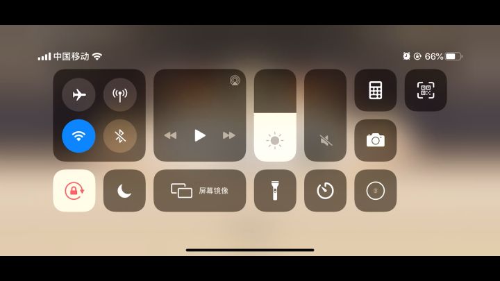 百毒经是bug还是就设计的这么废物?截图