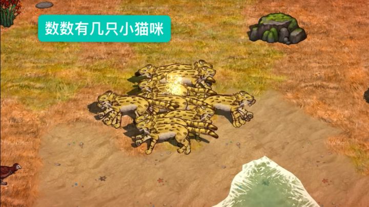 要不是天下第一勇的鸡捣乱 我将集齐岛上所有的虎截图