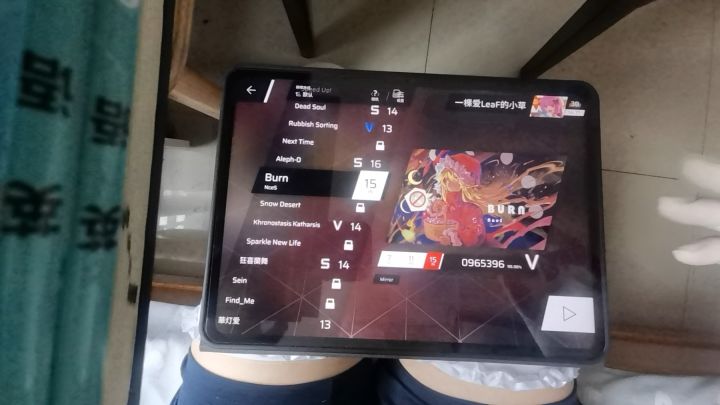 进来看神秘《烤全鸭(押)》截图