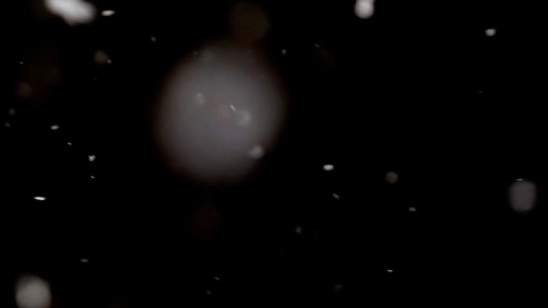 video-3654043