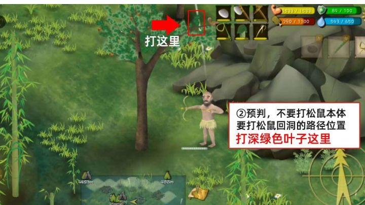 帕劳抓松鼠(树上)截图