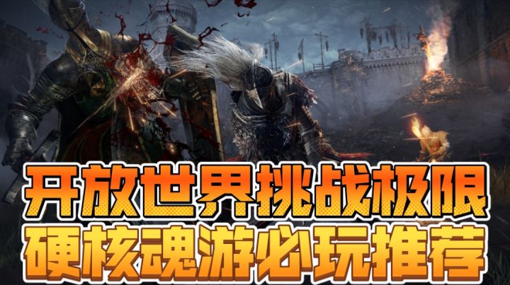 开放世界挑战极限,硬核魂游必玩推荐截图
