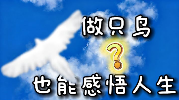 飞向高处,然后慢下来…截图