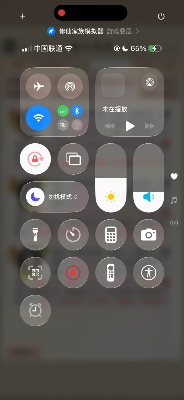 剑道双子血战通天峰顶截图