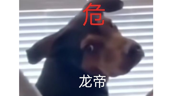 video-3257828
