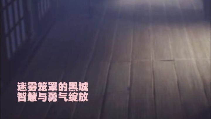 揭开迷雾 寻找那一束光截图